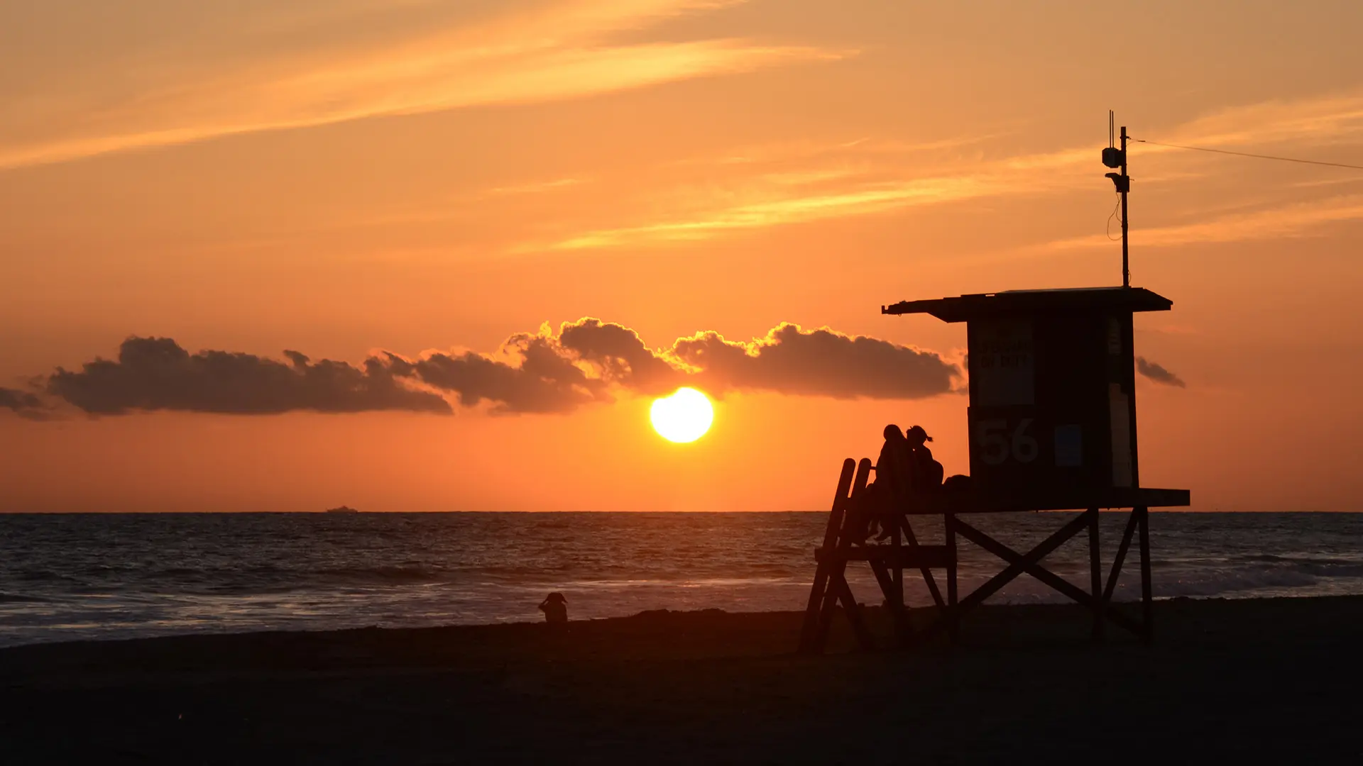 Newport Beach Property Management Newport Beach Property Management