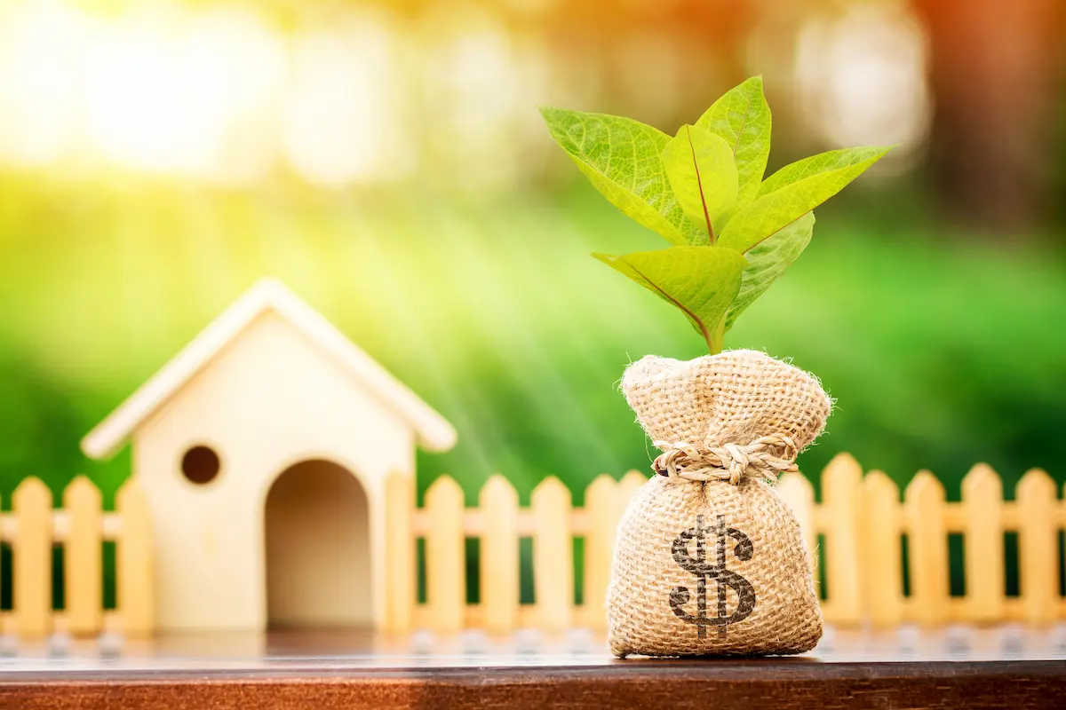 negative cash flow or growth
